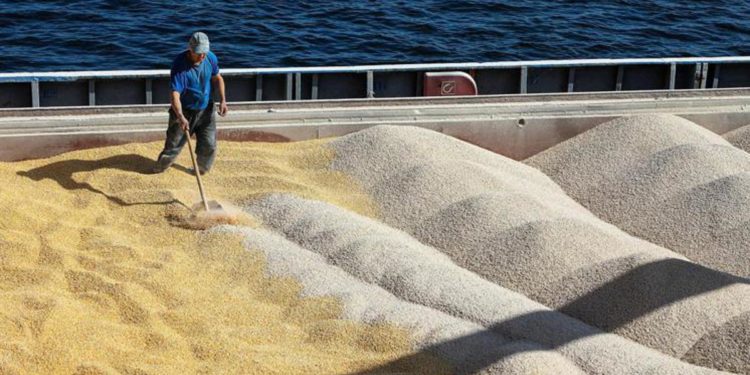 Grano, Zelensky: “Mosca non rispetta gli accordi”