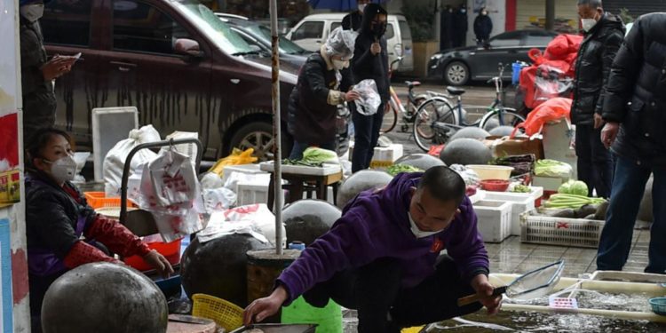 Covid partito da animali mercato Wuhan: studi cancellano dubbi