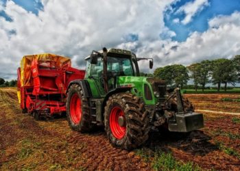 Aziende agricole in Italia: qual è il trend di crescita nelle varie zone d’Italia