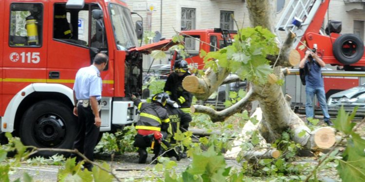 Maltempo, albero si abbatte su auto nel torinese: un morto