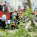 Maltempo, albero si abbatte su auto nel torinese: un morto