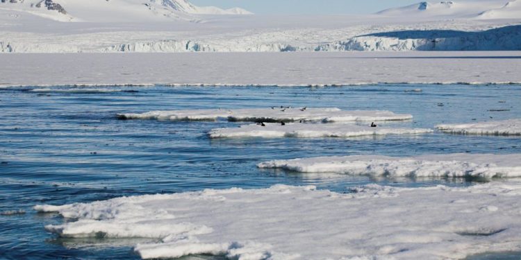 Clima, ghiaccio marino antartico al valore più basso di sempre