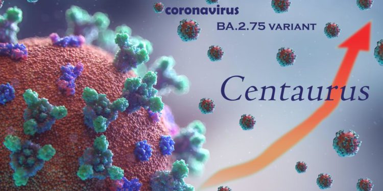 Centaurus in Italia, nuova variante Covid: sintomi e contagiosità
