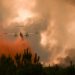 Incendi in Francia, boschi Gironda in fiamme: 10mila persone evacuate