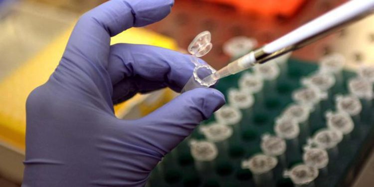 Vaiolo scimmie, primi vaccini a 4 regioni. Ecco chi può farlo