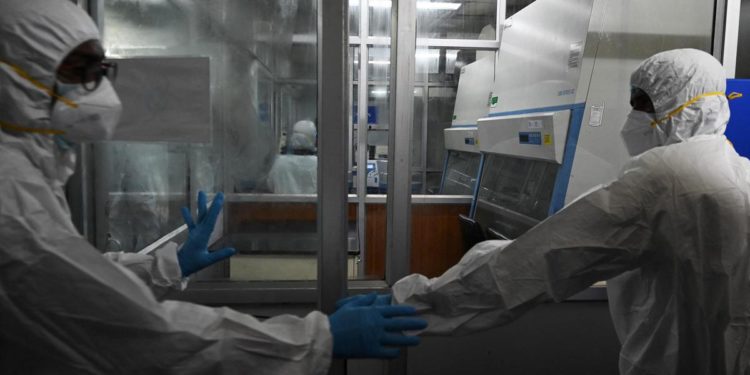 Vaiolo delle scimmie, possibili le quarantene: la circolare