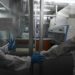 Vaiolo delle scimmie, possibili le quarantene: la circolare