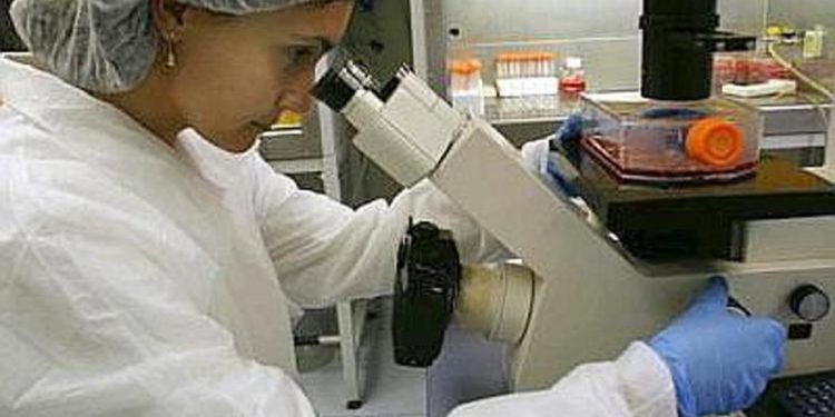 Covid, gene riduce rischio morte del 35%: ce l’ha 1 europeo su 10