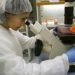 Covid, gene riduce rischio morte del 35%: ce l’ha 1 europeo su 10