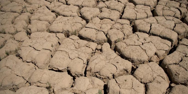 Siccità, quasi metà Europa è a rischio