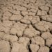 Siccità, quasi metà Europa è a rischio