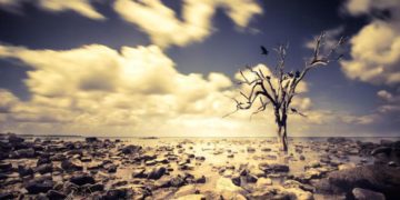 Scienziati anti catastrofisti sfidano i promotori dell’Appello sul Clima: “Pubblico confronto”