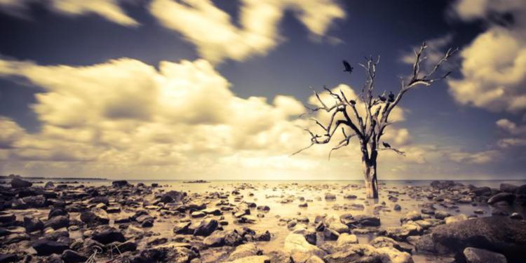 Scienziati anti catastrofisti sfidano i promotori dell’Appello sul Clima: “Pubblico confronto”