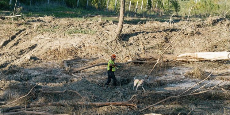 Alluvione Marche, ritrovato il corpo del bimbo disperso