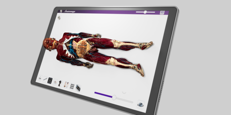 Anatomia reale in realtà virtuale con Anatomage VR