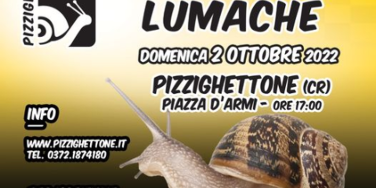 Pizzighettone, bufera per la corsa delle lumache