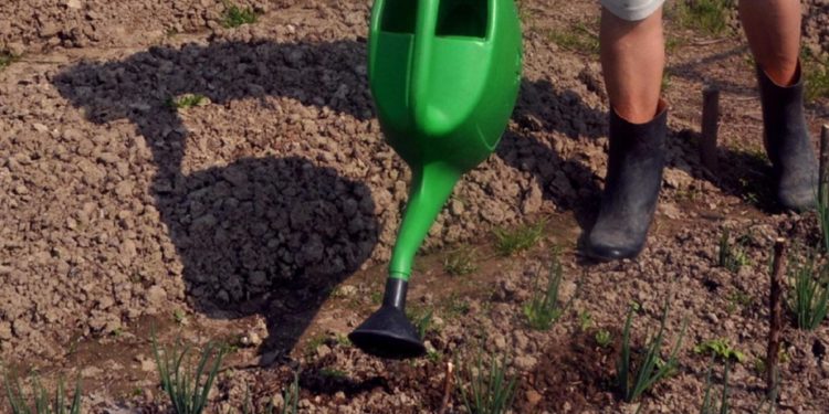 California, dal 2027 defunti trasformati in concime