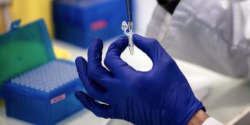 Vaiolo scimmie, salgono a 773 i casi in Italia