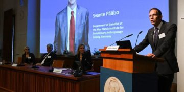 Nobel Medicina 2022 a Pääbo per scoperte sui genomi dei primitivi