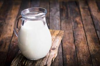 Intolleranza al lattosio, l’immunologo: “Non basta eliminarlo da dieta per risolvere problemi”