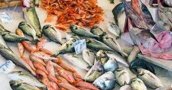 “Meno carne più pesce azzurro”, 10 consigli del pediatra per una dieta sana anti caro spesa