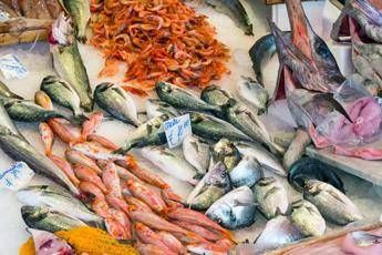 “Meno carne più pesce azzurro”, 10 consigli del pediatra per una dieta sana anti caro spesa