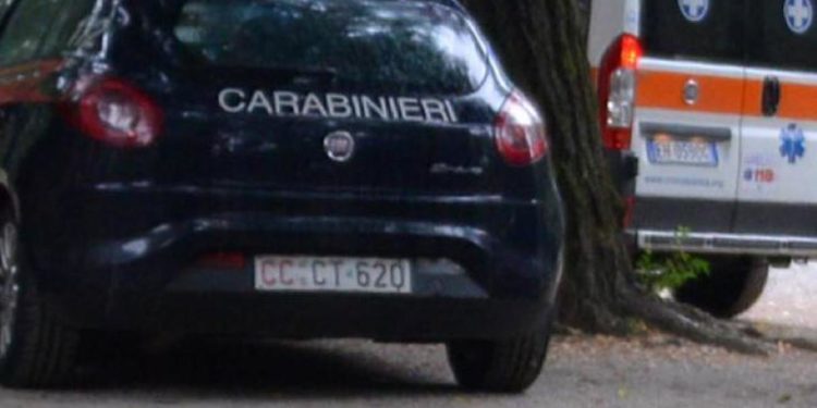 Verona, veterinaria muore schiacciata da una mucca