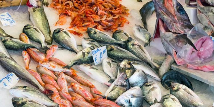 Antibiotici nel cibo, Bassetti: “Uso spropositato in carne e pesce”