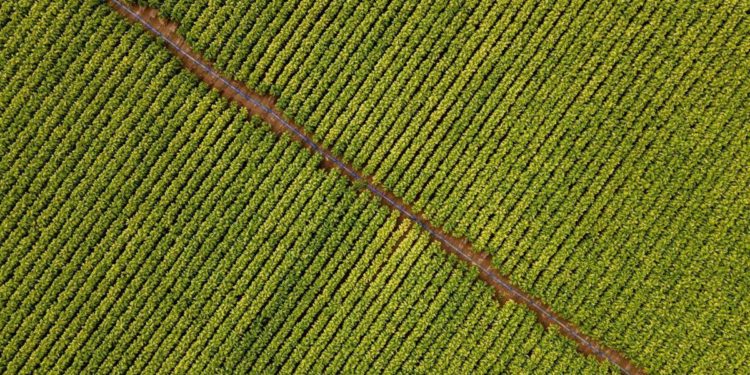 Philip Morris, nuovi investimenti in Campania e Umbria