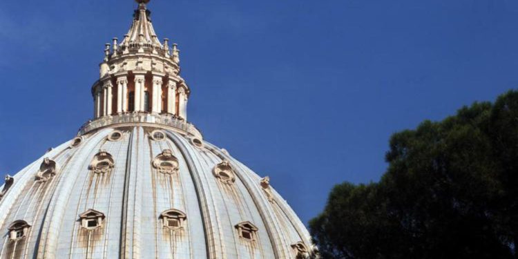 Natale, scoppia il caso sull’abete che andrà a San Pietro