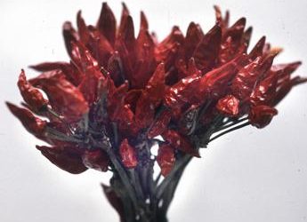 Boom del peperoncino calabrese