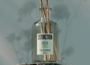 Italmark lancia Extinction, primo profumo d’ambiente che salva l’ambiente