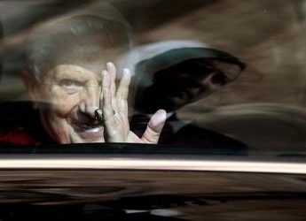Morto Benedetto XVI, Ratzinger e la passione per i gatti