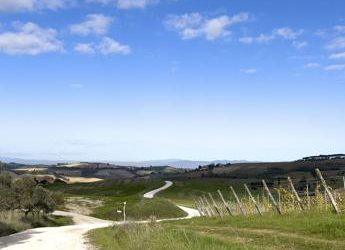 Nasce Montepulciano Active, rete escursionistica con 10 itinerari per 100 km
