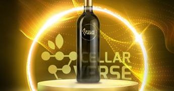 Vino: arriva CellarVerse, prima startup che lancia gratuitamente nel metaverso le cantine