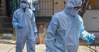 Virus Nipah in India, è allarme: come si trasmette e cura