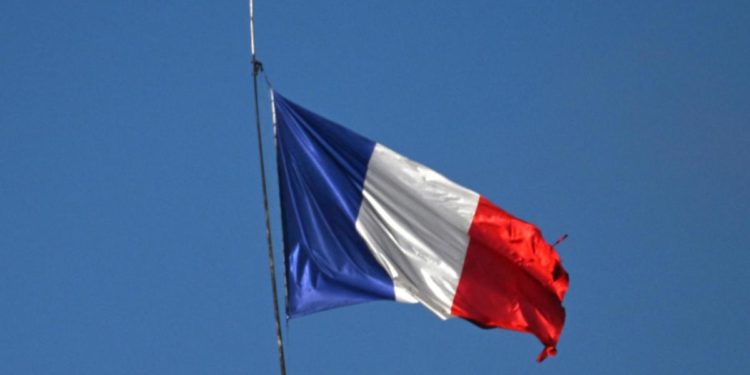 Ucraina, pacco con topo morto ad ambasciata francese a Mosca