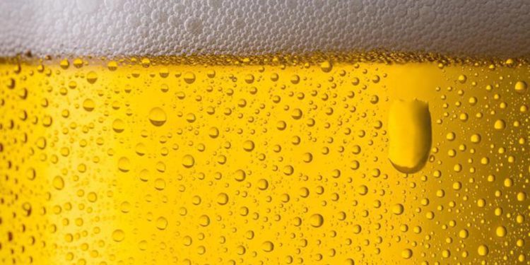 AssoBirra, protagonista su tavole italiane anche a Natale