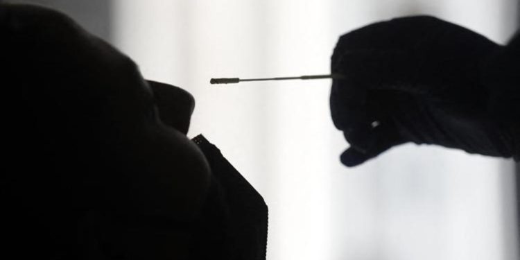 Covid, test rapido prima di cenone Natale: cosa dicono Bassetti, Ciccozzi, Crisanti