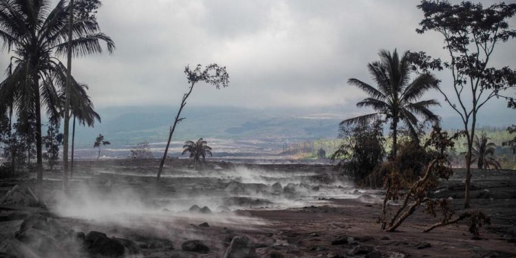Terremoto, scossa di magnitudo 5.8 in Indonesia