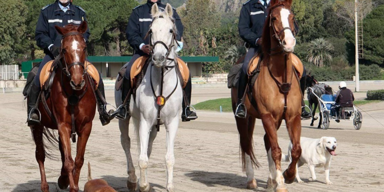 Palermo, all’ippodromo sabato di corse e spettacoli