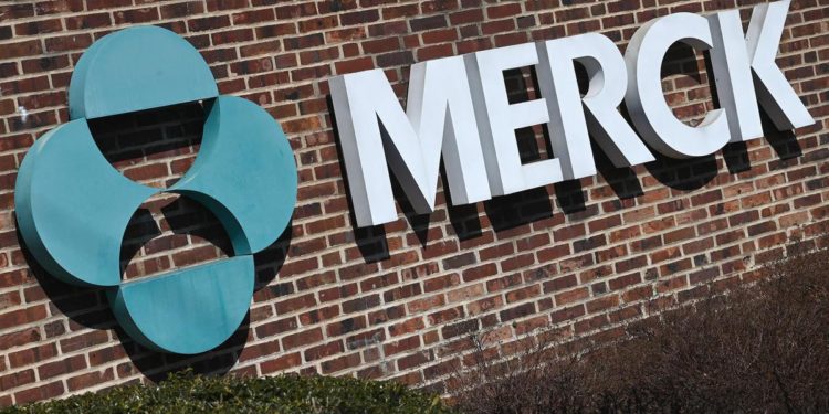 Covid, pillola Merck non riduce morti e ricoveri in vaccinati a rischio: studio