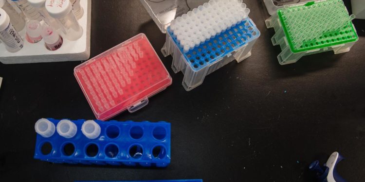 Covid oggi Calabria, 702 contagi e 2 morti: bollettino 3 dicembre