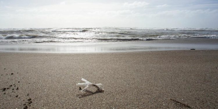Spiagge, Santanchè: “Assegnare le ‘libere’ per stop tossicodipendenti e rifiuti”