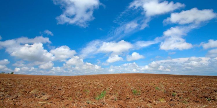 Cic, valorizzare reintegro sostanza organica nel suolo con compost