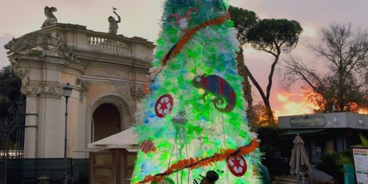 Natale, al Bioparco di Roma un albero eco-sostenibile. Palanza: “Vogliamo sensibilizzare tutti”