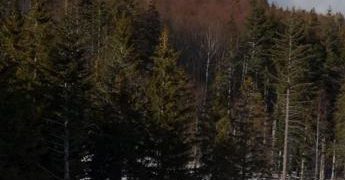 Abruzzo senza neve, crollo prenotazioni a Natale: allarme degli albergatori