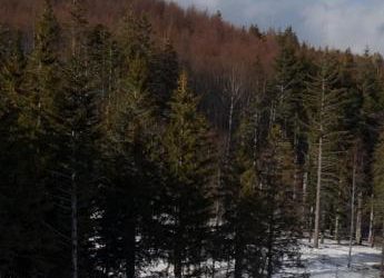 Abruzzo senza neve, crollo prenotazioni a Natale: allarme degli albergatori
