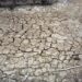 Clima, 38mila miliardi di danni ogni anno fino al 2050: lo studio