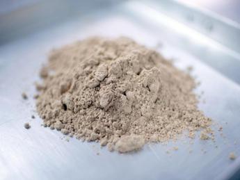 Coldiretti Toscana: “Farina grillo domestico in commercio? Maggioranza dice no”